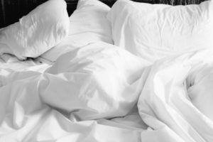 punaises de lit