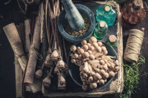 Mother Earth News