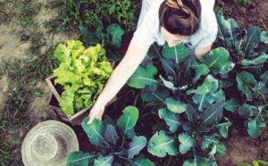 Mother Earth News