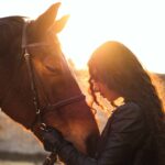 L'équithérapie : une symbiose entre le cheval et le bien-être humain