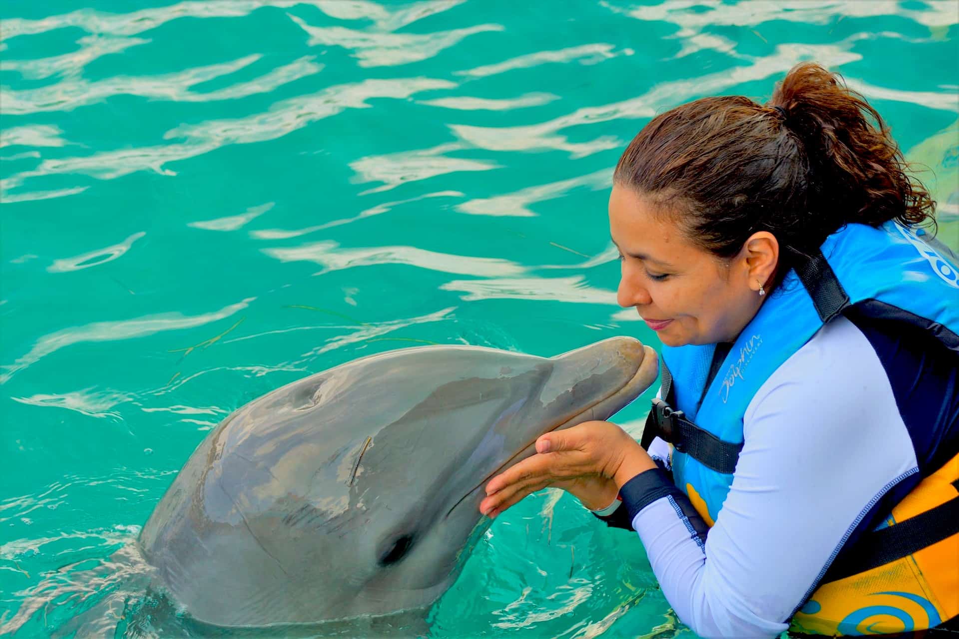 Nage avec les dauphins