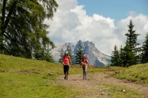 Évadez-vous du stress avec une randonnée en pleine nature, idéale pour une déconnexion numérique complète. Profitez du calme et revitalisez-vous.